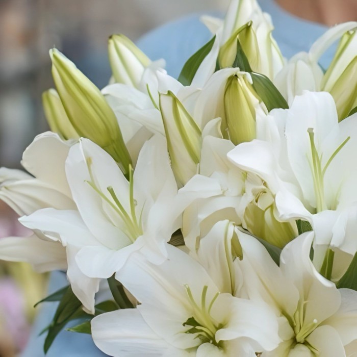 Букет из 9 лилий