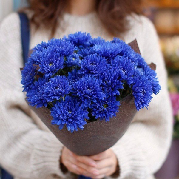 Маленький букет из синих хризантем