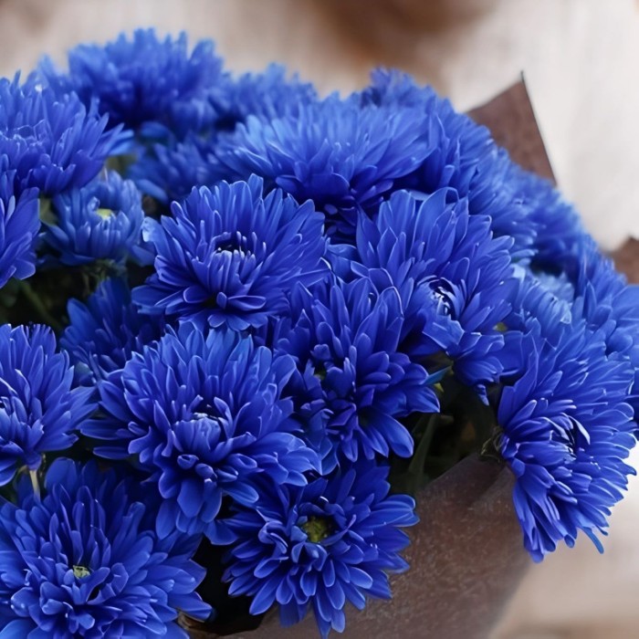 Маленький букет из синих хризантем
