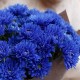 Маленький букет из синих хризантем