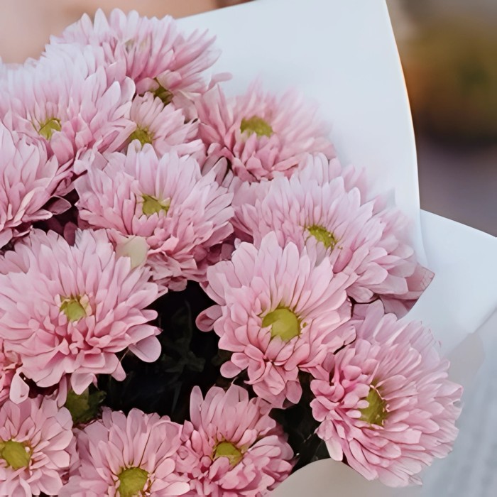 Мини букет из розовых хризантем