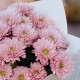 Мини букет из розовых хризантем