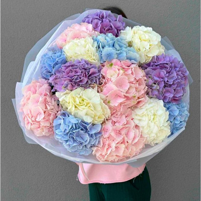 Букет 15 гортензий микс