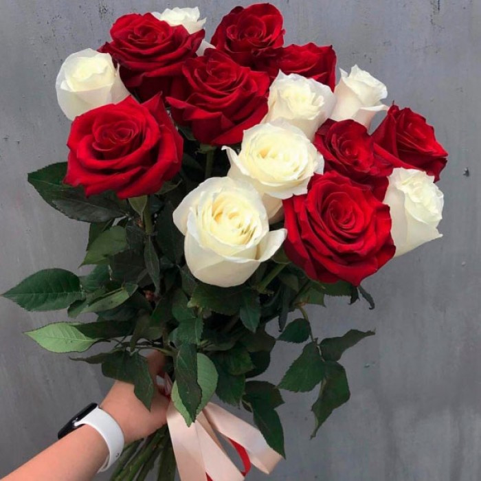 Букет 15 красно-белых роз 60 см