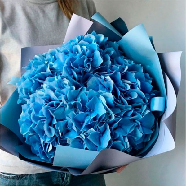 Букет 5 голубых гортензий