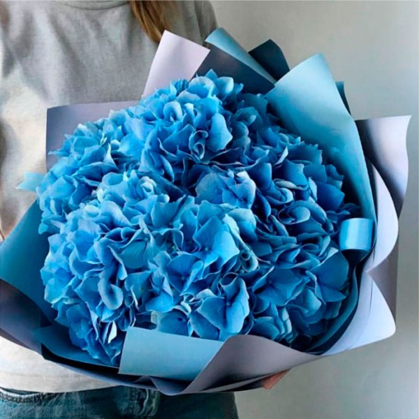 Букет 5 голубых гортензий