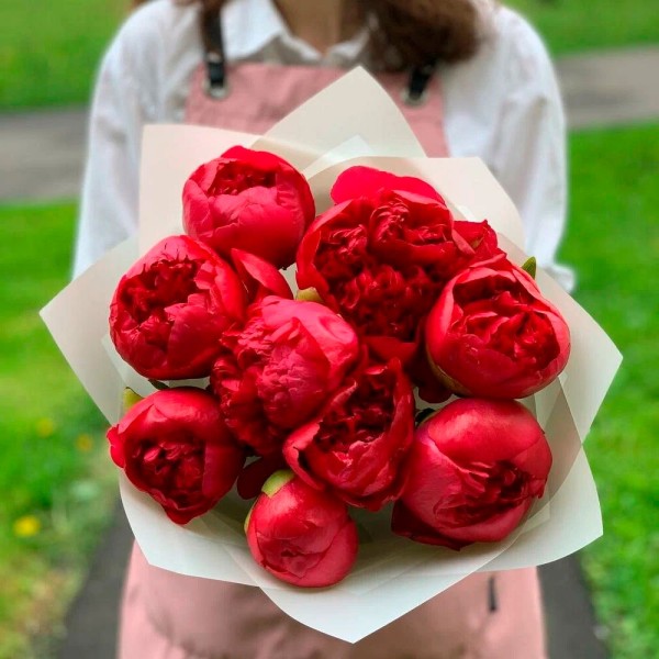 Букет 9 красных пионов