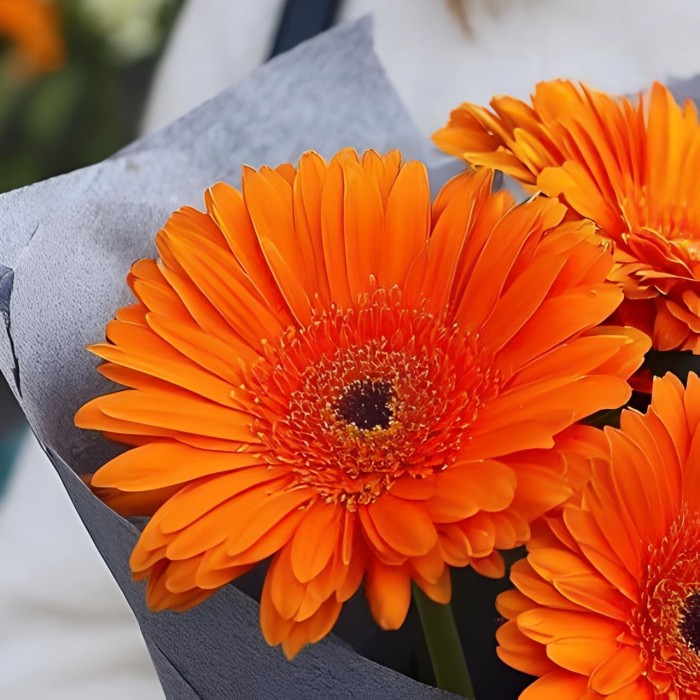 Букет 3 оранжевые герберы
