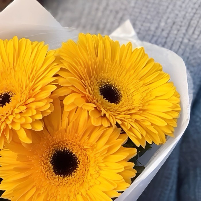 Букет 3 желтые герберы