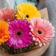 Букет 5 разноцветных гербер