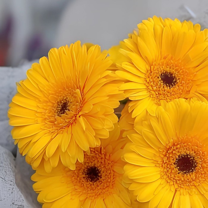 Букет 5 желтых гербер