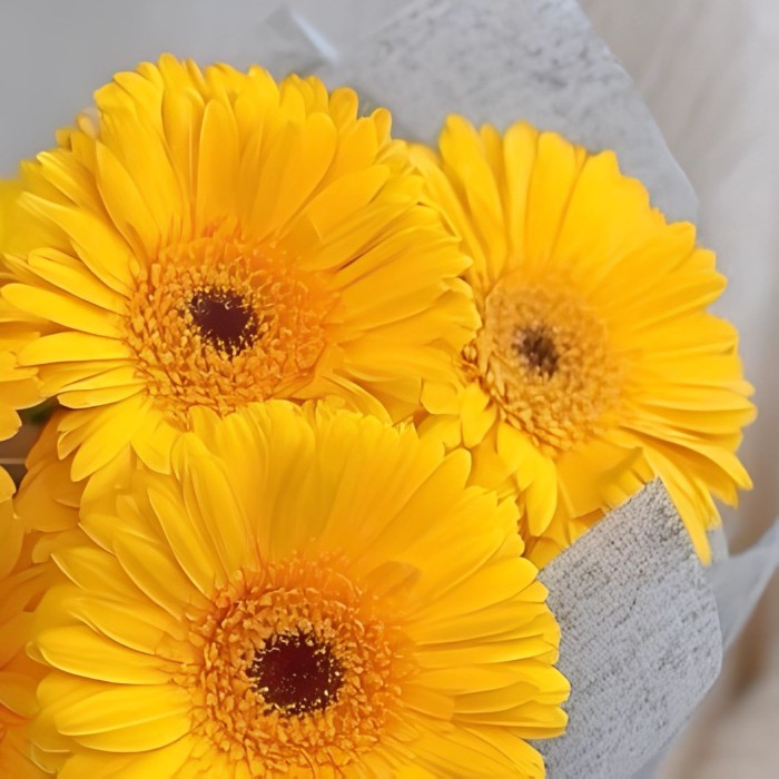 Букет 5 желтых гербер