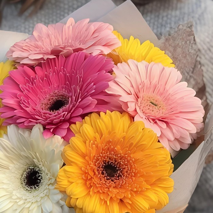 Букет 7 цветных гербер