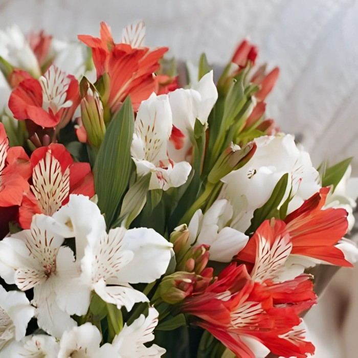 Букет 9 бело-красных альстромерий
