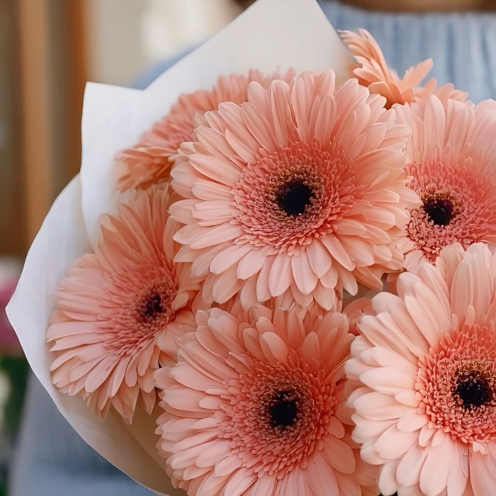 Букет 9 нежно-розовых гербер