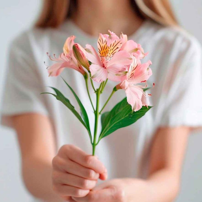 1 веточка розовой альстромерии