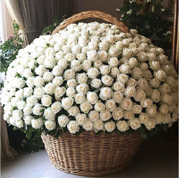 1001 белая роза