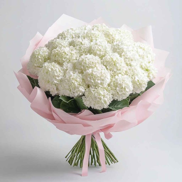 101 белая гортензия