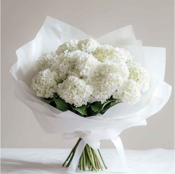 11 белых гортензий