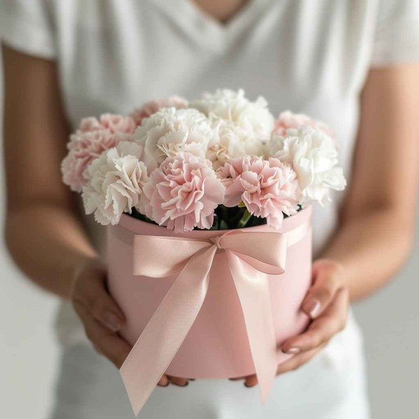 11 гвоздик микс в коробке