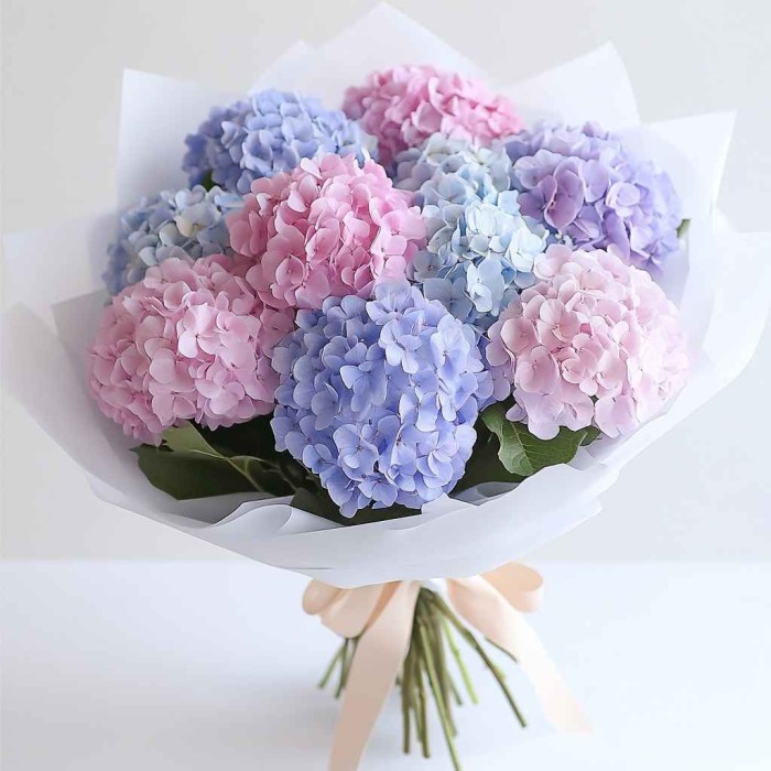 Букет 11 разноцветных гортензий