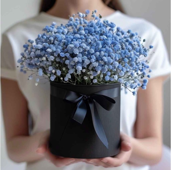 13 гипсофил в коробке