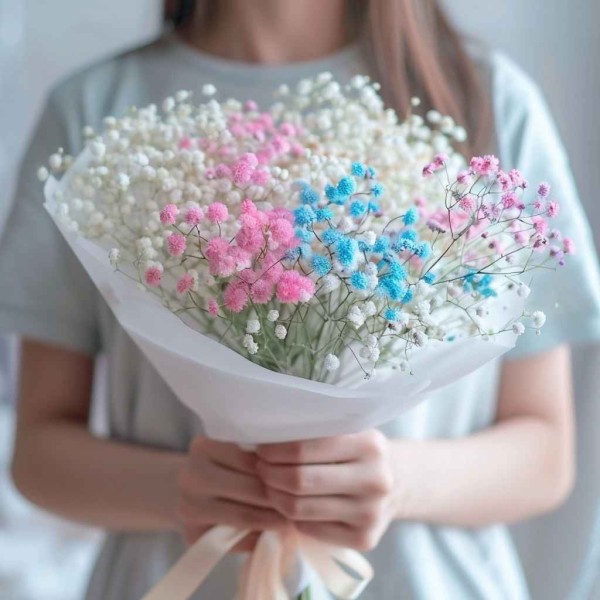 13 разноцветных гипсофил