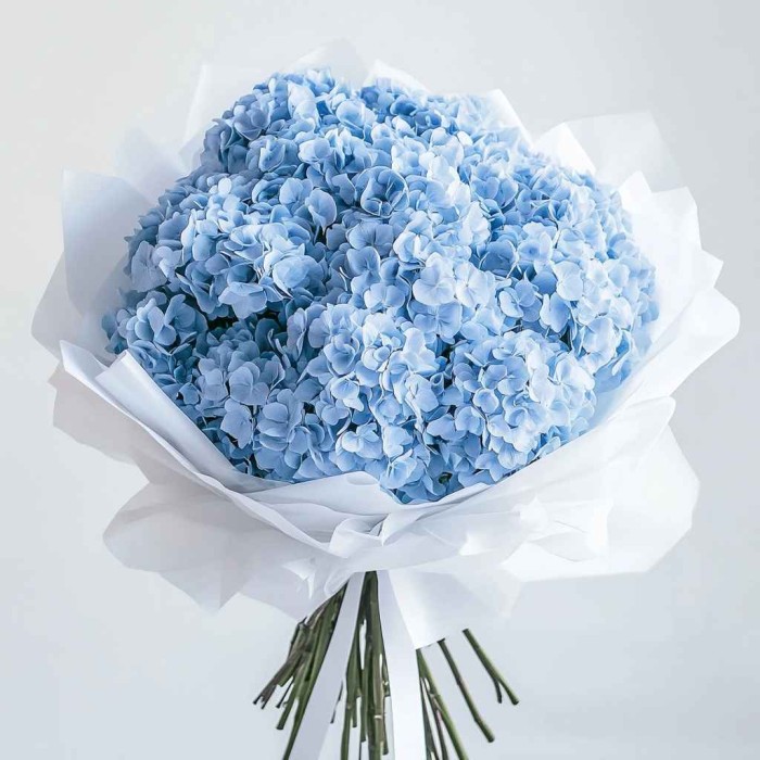 Букет 15 голубых гортензий