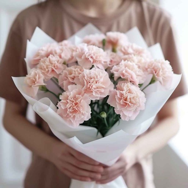 17 нежно-розовых гвоздик