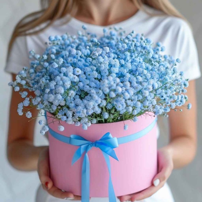 25 гипсофил в коробке