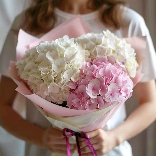 3 бело-розовые гортензии