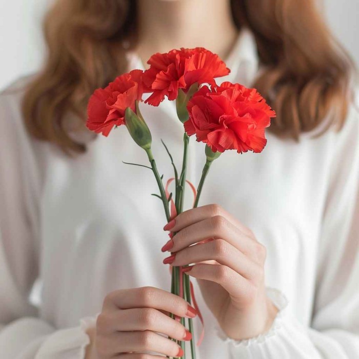 Букет 3 красные гвоздики