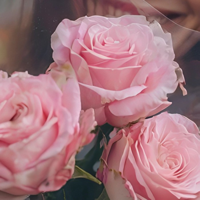 Букет 3 розы в пленке