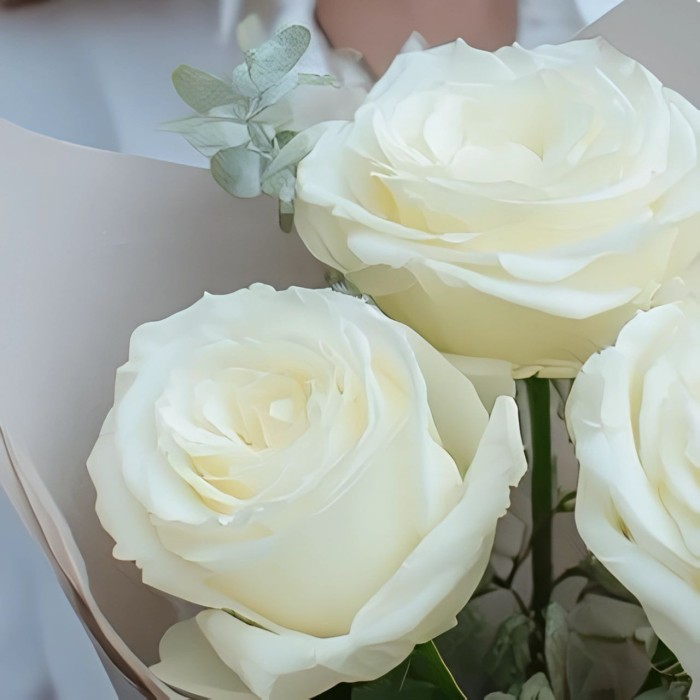 Букет 3 розы в упаковке