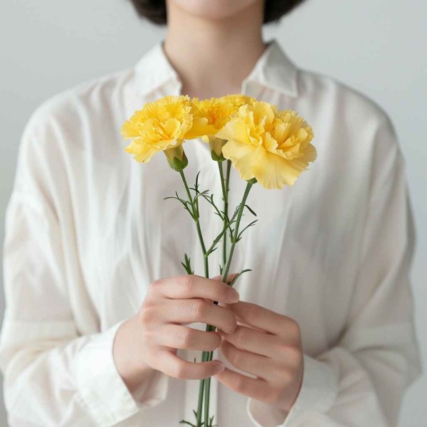 3 желтые гвоздики