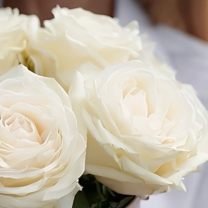 5 белых роз в маленькой коробке