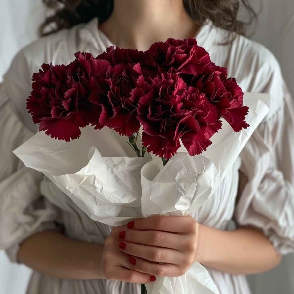 5 бордовых гвоздик