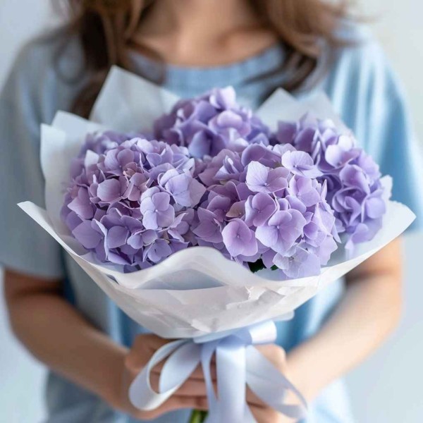 5 фиолетовых гортензий