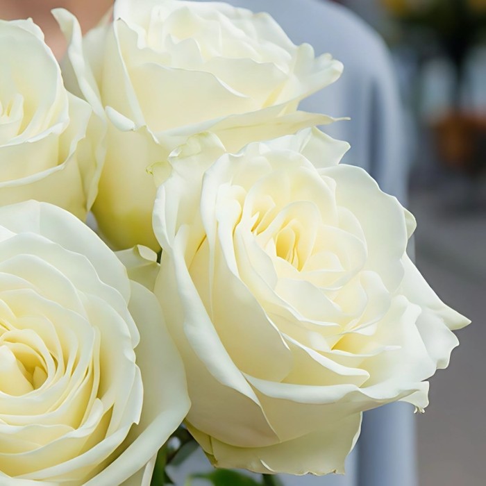 Букет 5 голландских роз