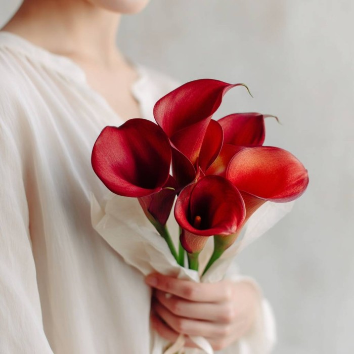 Букет 5 красных калл