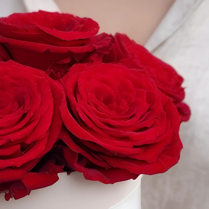 5 красных роз в маленькой коробке