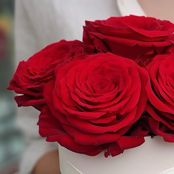 5 красных роз в маленькой коробке