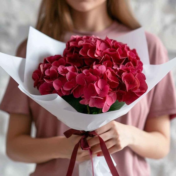 5 малиновых гортензий