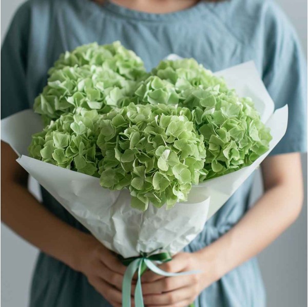 Букет 5 зеленых гортензий