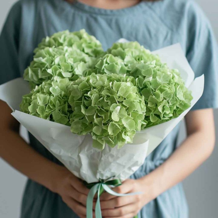 Букет 5 зеленых гортензий