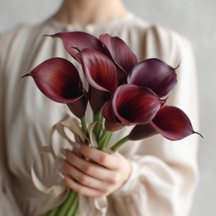 Букет 7 бордовых калл