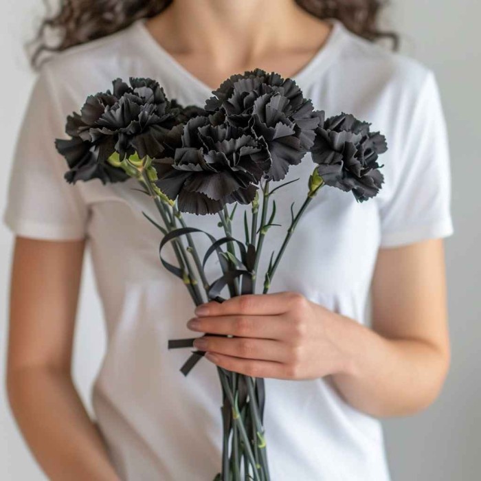 Букет 7 черных гвоздик