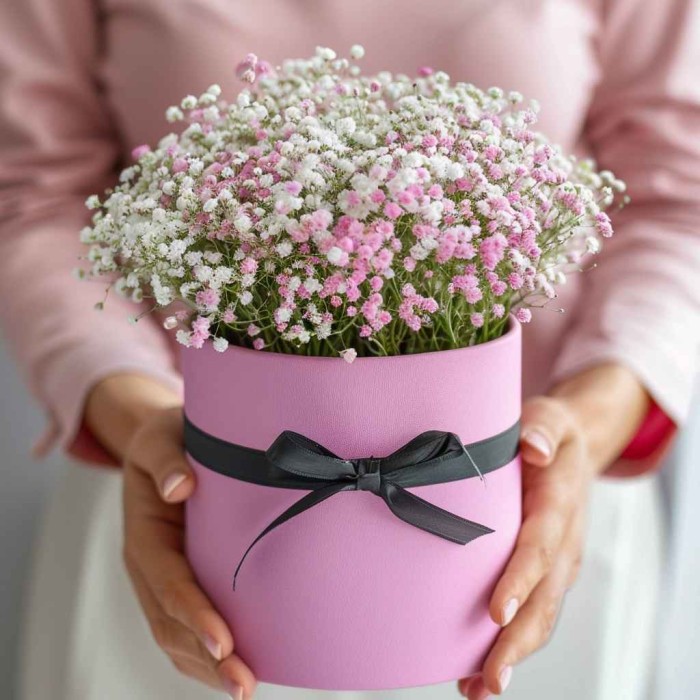 7 гипсофил в маленькой коробке