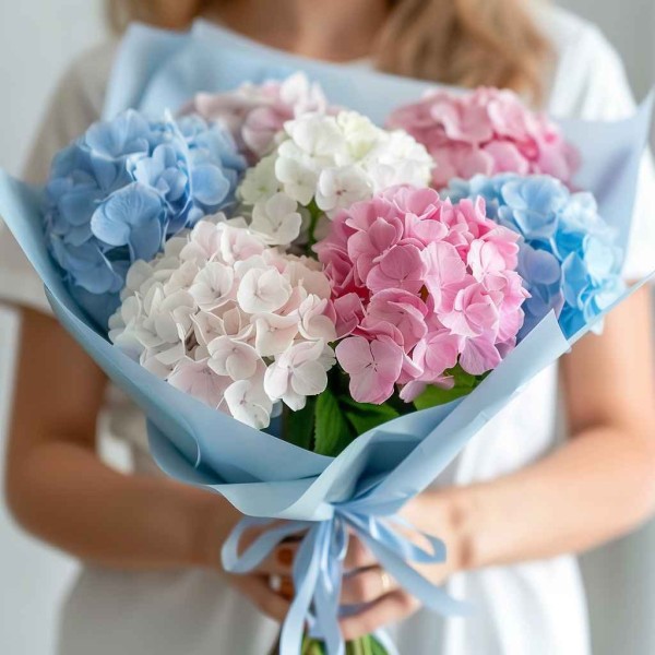 7 гортензий микс