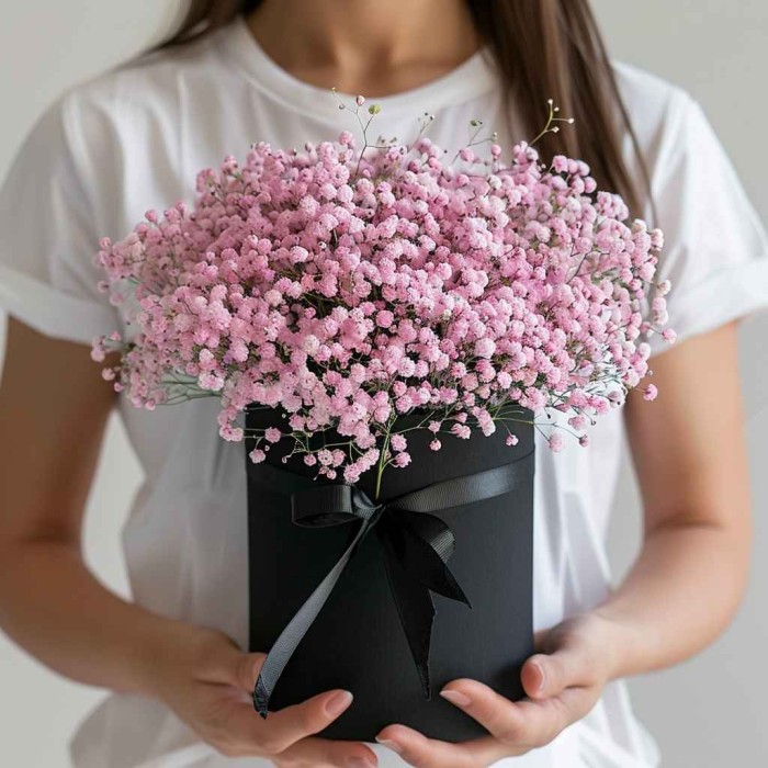 9 гипсофил в коробке